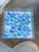 Load image into Gallery viewer, Mini Butterflies
